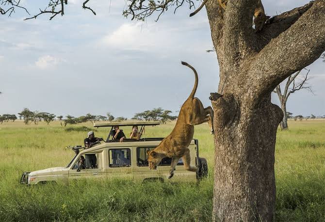 Combine Burundi with a Wider East African Safari Adventure
