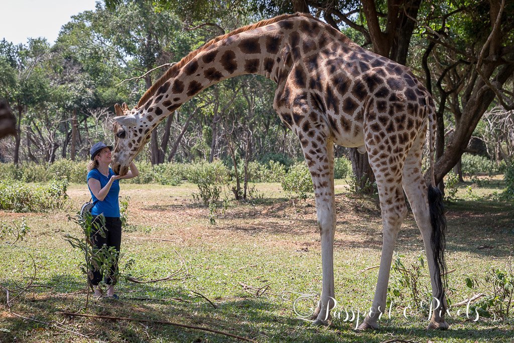 Uganda Safari Adventures Combined with Entebbe Zoo Visit