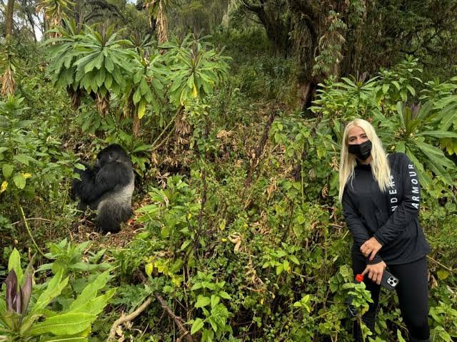 Combining luxury gorilla trekking with wildlife safaris