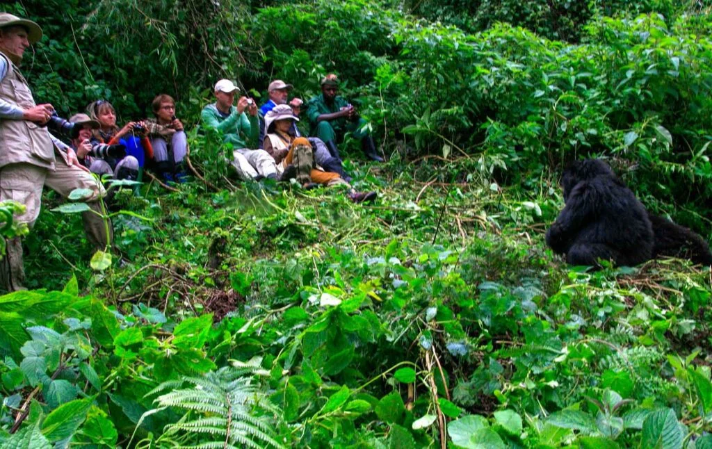 Finnish Speaking Guides on Uganda and Rwanda Safari creating integrated cultural and safari experiences