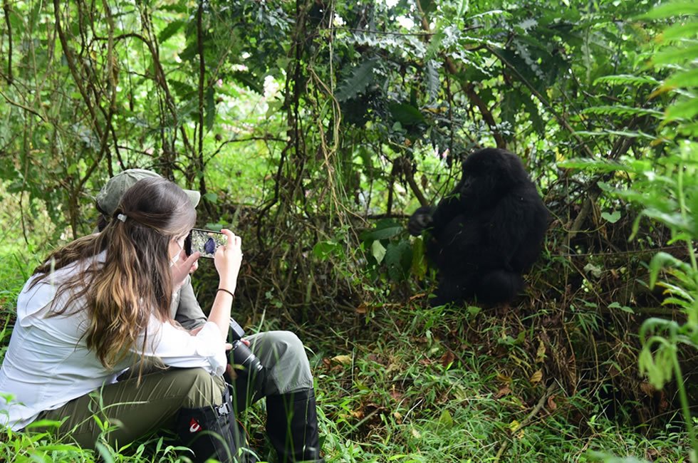 Conservation and Cultural Impact Safari Experiences