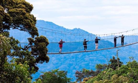 Drone Use Around Nyungwe Forest National Park Rwanda