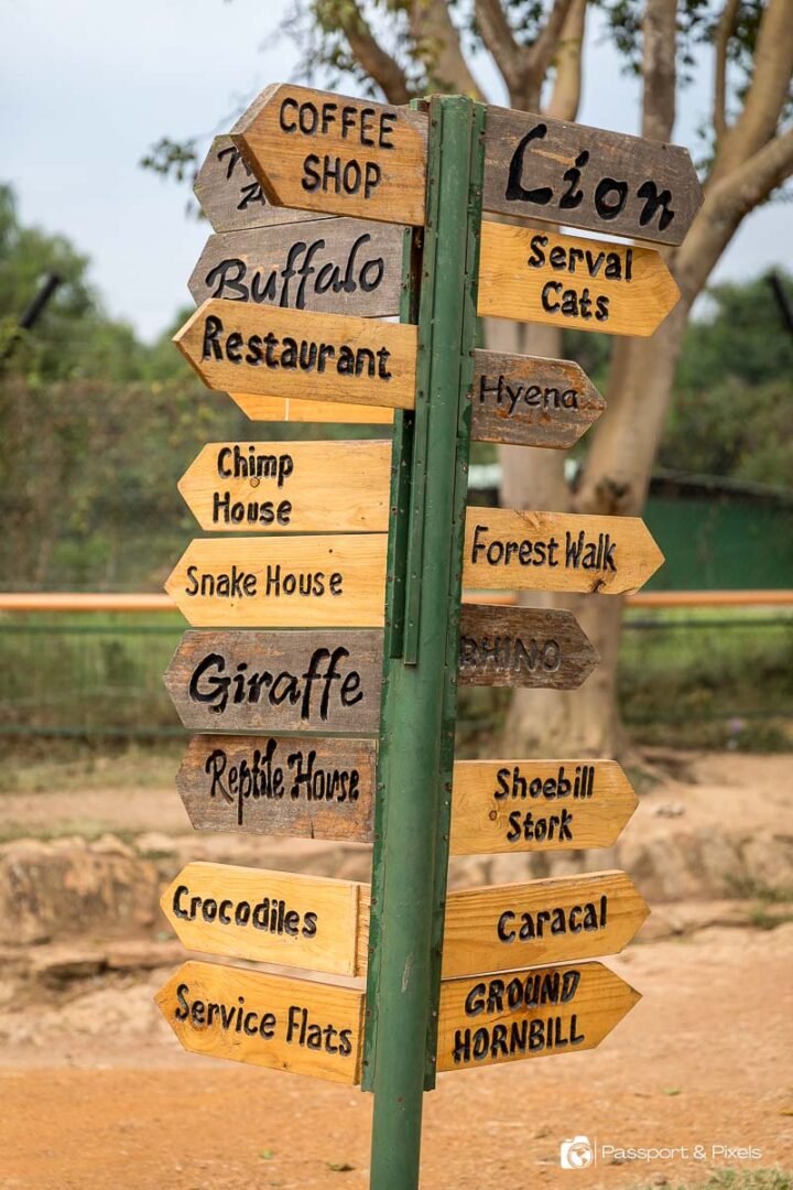 Entebbe Zoo Entrance Fee and Visitor Experience in Uganda