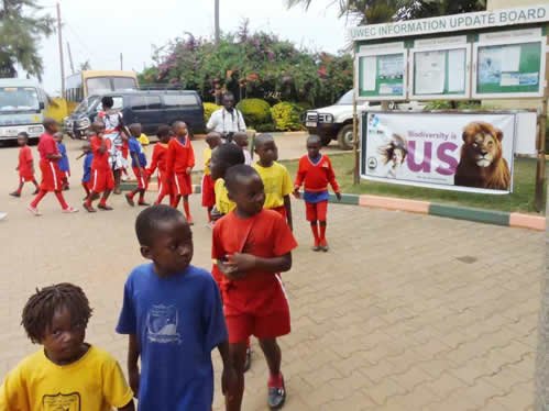 Entebbe Zoo for Families and Children Uganda Wildlife Experience