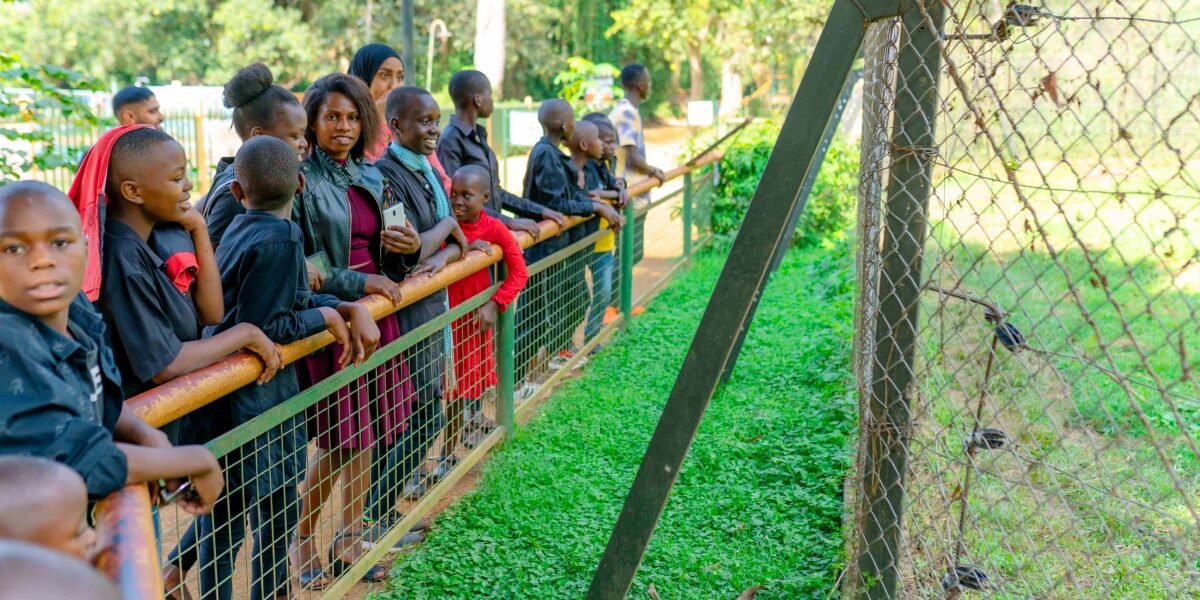 Best Family Activities at Entebbe Zoo Uganda Wildlife Centre