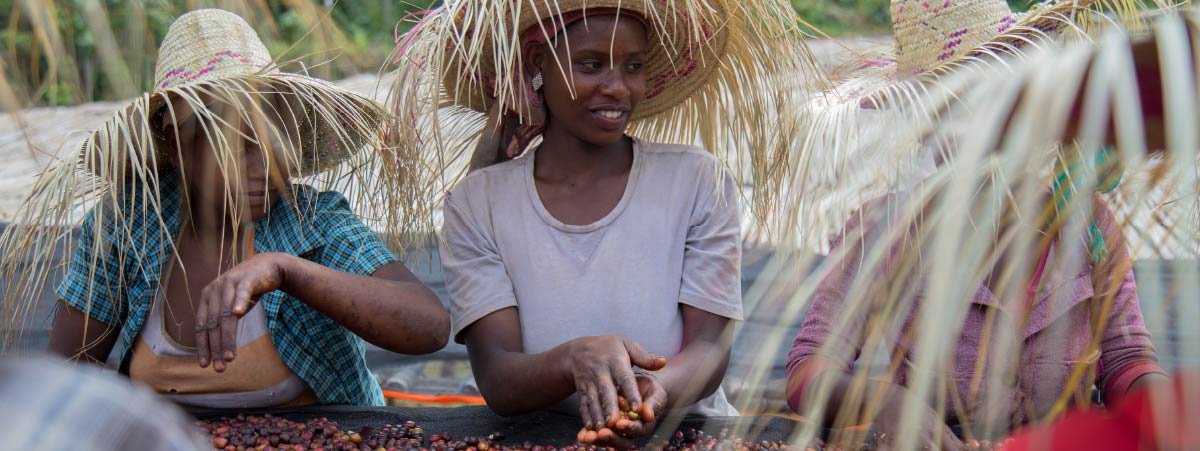 NextGEN Safaris organizes respectful and meaningful Omo Valley cultural experiences that promote genuine connections between travelers and local communities. Through carefully planned visits and knowledgeable local