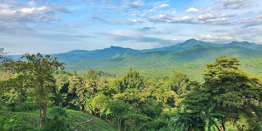 Ethiopia offers incredible wildlife and nature experiences with diverse ecosystems, dramatic landscapes, and rare species found nowhere else in the world. Nature-focused tours with NextGEN Safaris allow travelers to
