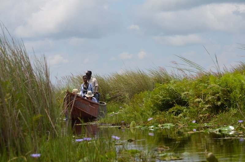 Mabamba Swamp Shoebill Watching Safari Experience
