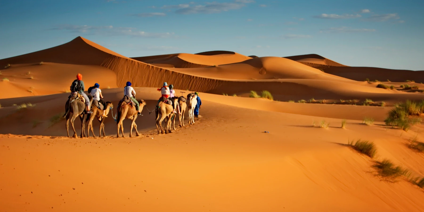 Exploring Ethiopia becomes more rewarding when guided by professionals who