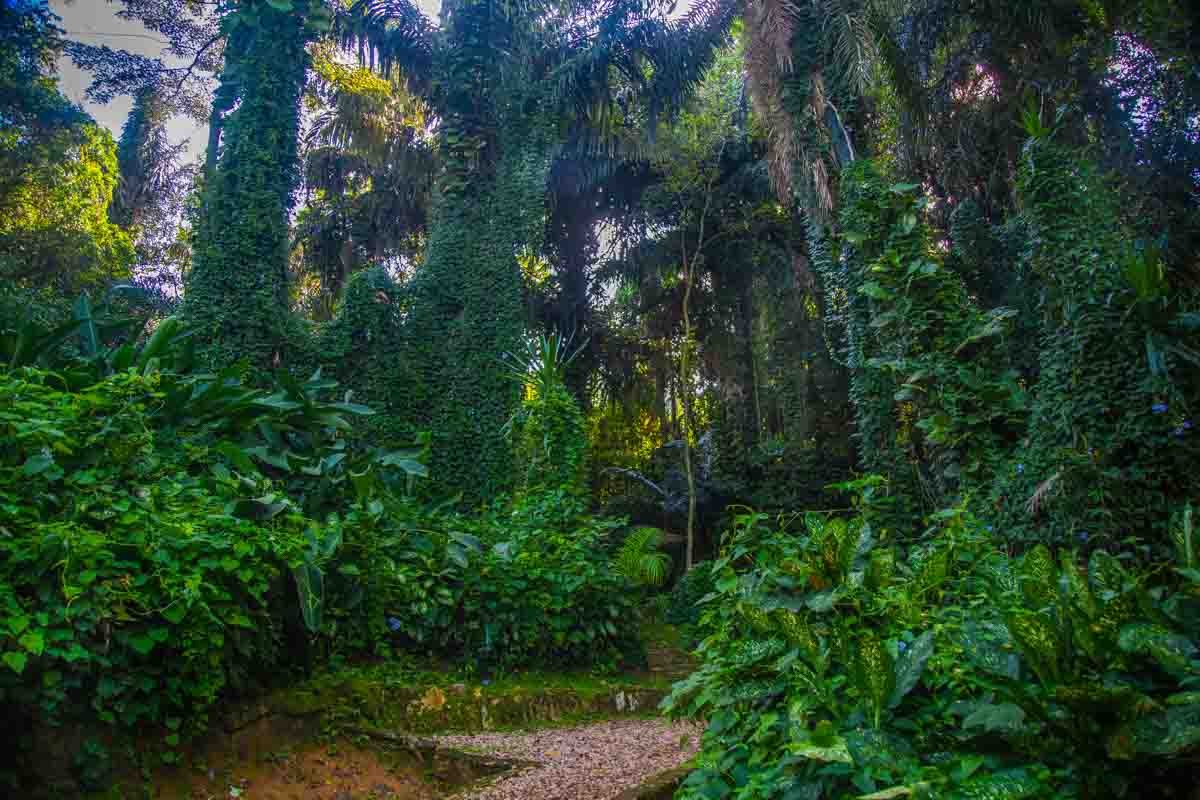 Explore Entebbe Botanical Gardens Uganda