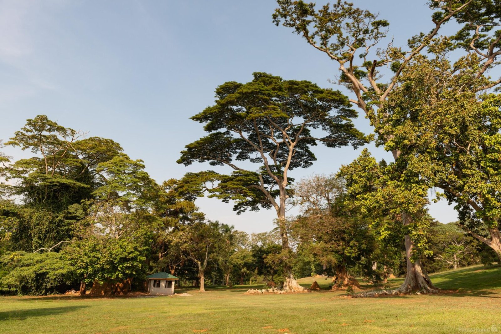 Visit Entebbe Botanical Gardens During Uganda Safari