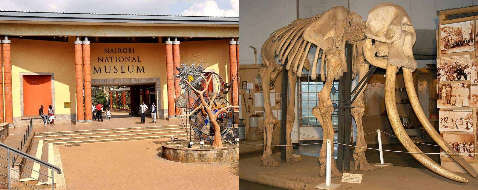 For travelers interested in Kenya’s history, culture, and heritage, the Nairobi National Museum is an excellent destination.The museum showcases Kenya’s fascinating journey through exhibits covering archaeology, anthropology, art, history, and natural heritage.