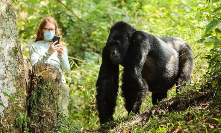 Bengali Speaking Guides on Uganda and Rwanda Safari