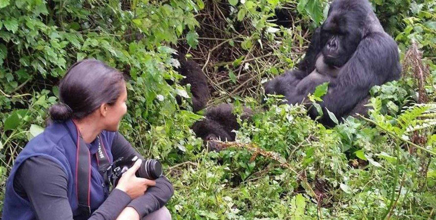 Filming Gorillas in Bwindi Impenetrable National Park Uganda