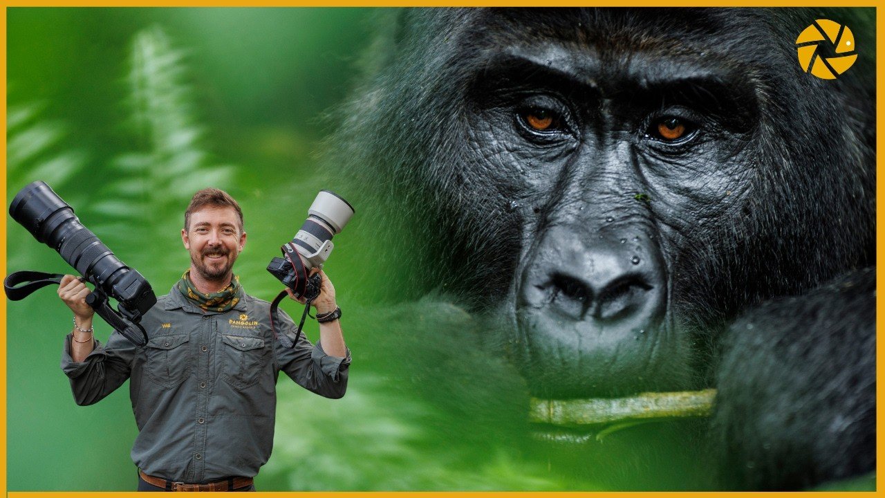 Professional Gorilla Filming Experience in Rwanda