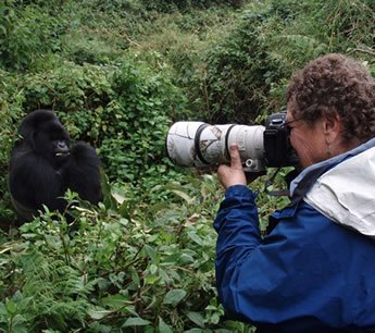 Gorilla Documentary Filming Safari in Rwanda Volcanoes National Park