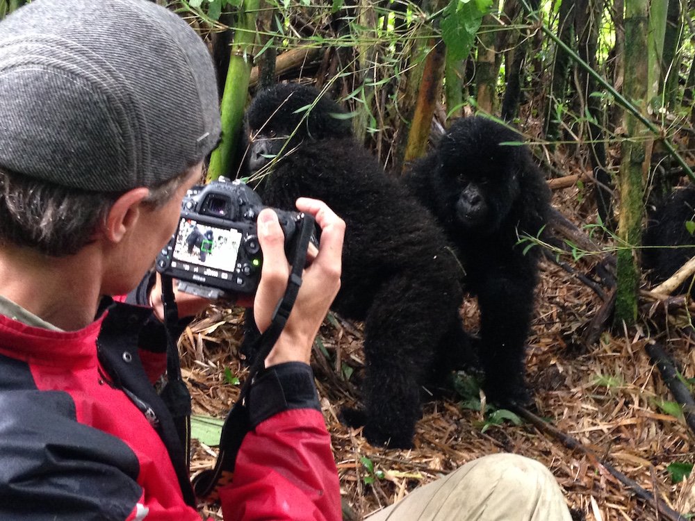 Gorilla Documentary Filming Safari in Uganda and Rwanda