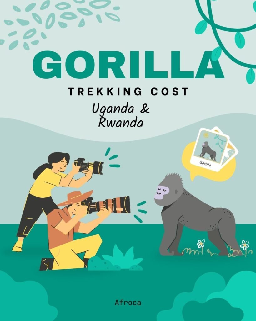 Gorilla Trekking Costs Explained Guide