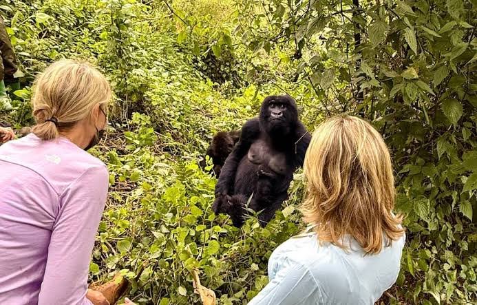 Rwanda is another excellent destination for families interested