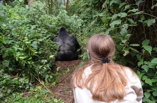 Gorilla Trekking with Children in Uganda