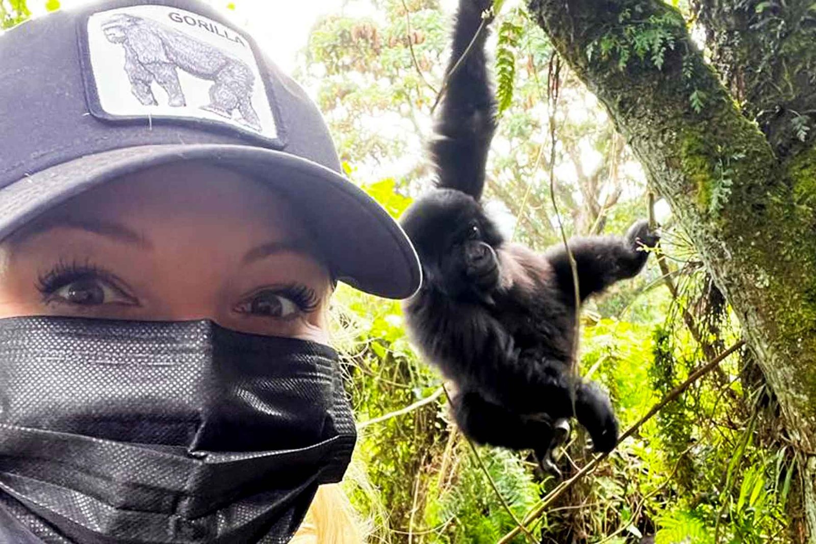 Gorilla Habituation Tours in Rwanda Volcanoes National Park