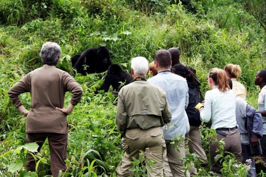 Rwanda Gorilla Trekking Porters Assistance