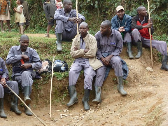 Gorilla Trekking Porters Assistance Experience
