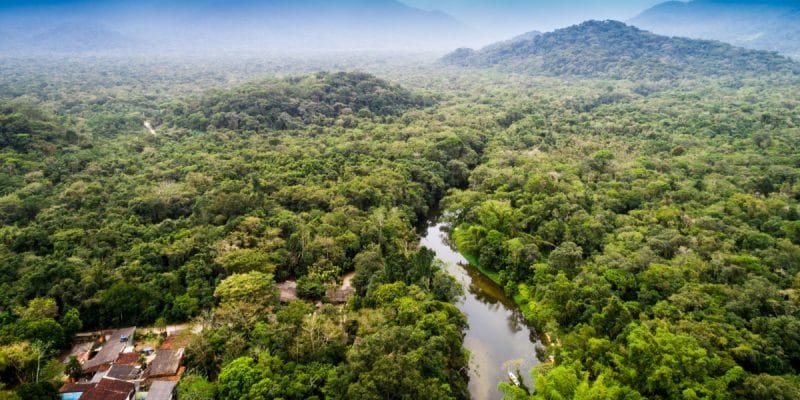 Kahuzi-Biega National Park is one of Congo’s most important wildlife destinations and is famous for eastern lowland gorillas. The