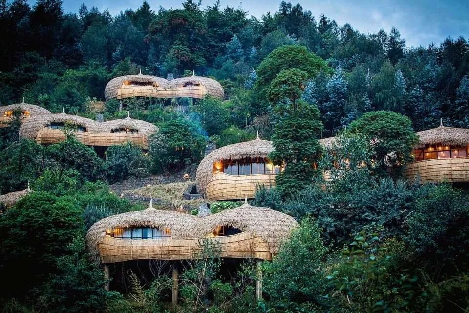 Beautiful Luxury Lodges Close to Gorilla Trekking in Rwanda