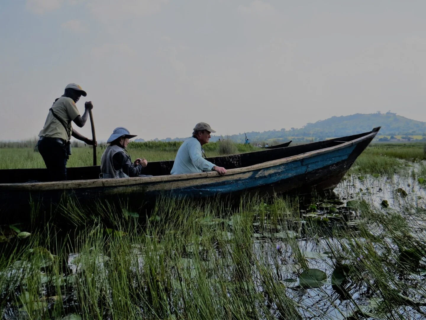Mabamba-Swamp-Nextgen-Safaris-1-scaled - Copy