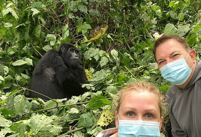 Maintain a Safe Distance from Mountain Gorillas During Trekking