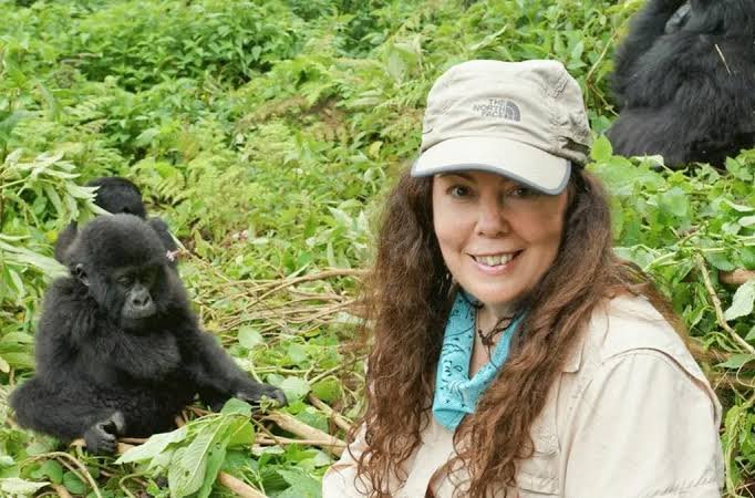 Safe Distance Guidelines When Visiting Mountain Gorillas