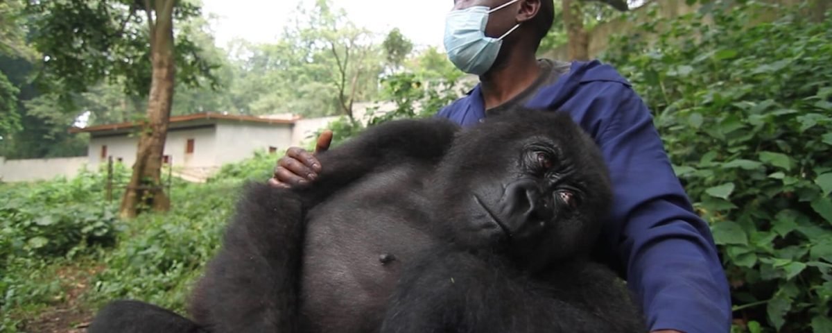 Medical Support and Healthcare Access During Uganda Safaris