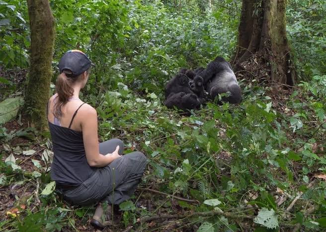 Minimum Age for Gorilla Trekking in Uganda