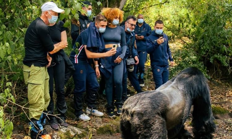 Minimum Age for Gorilla Trekking in Uganda and Rwanda