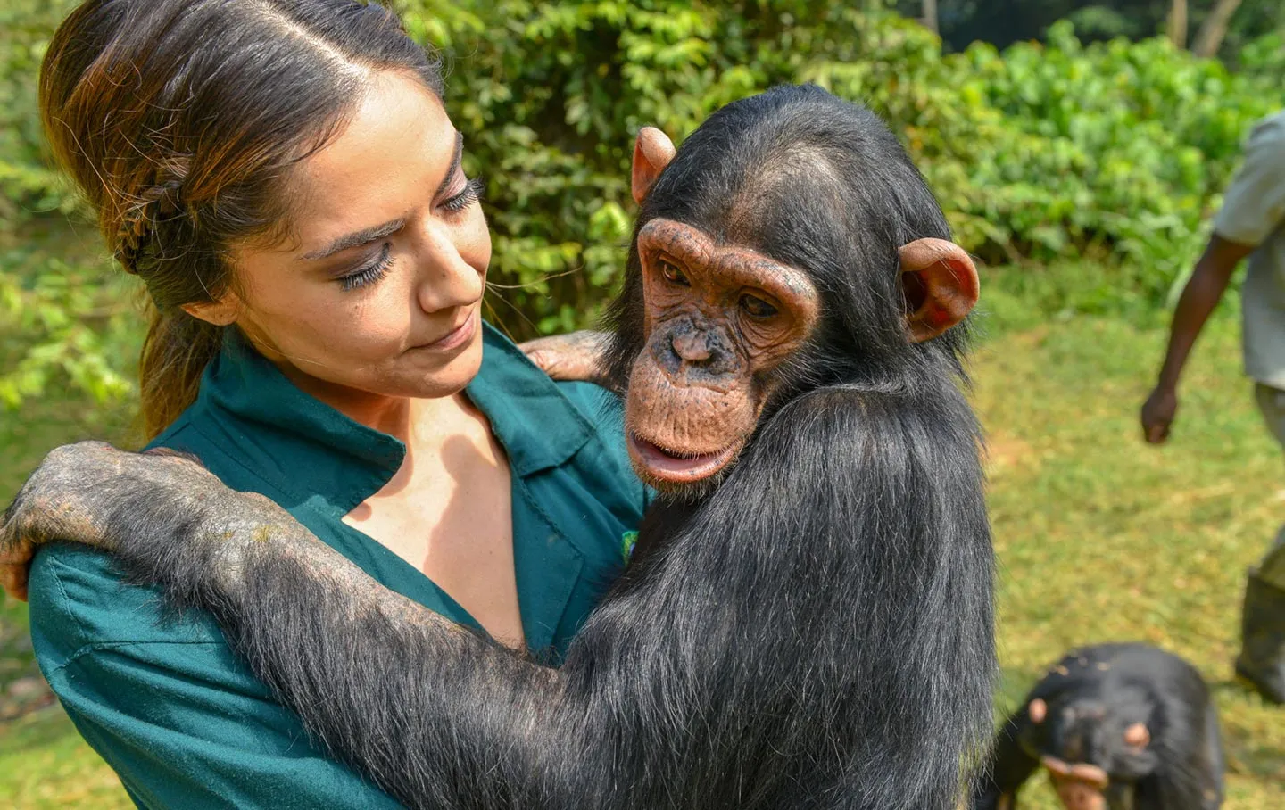 Ngamba Island Chimpanzee Sanctuary Lake Victoria Uganda