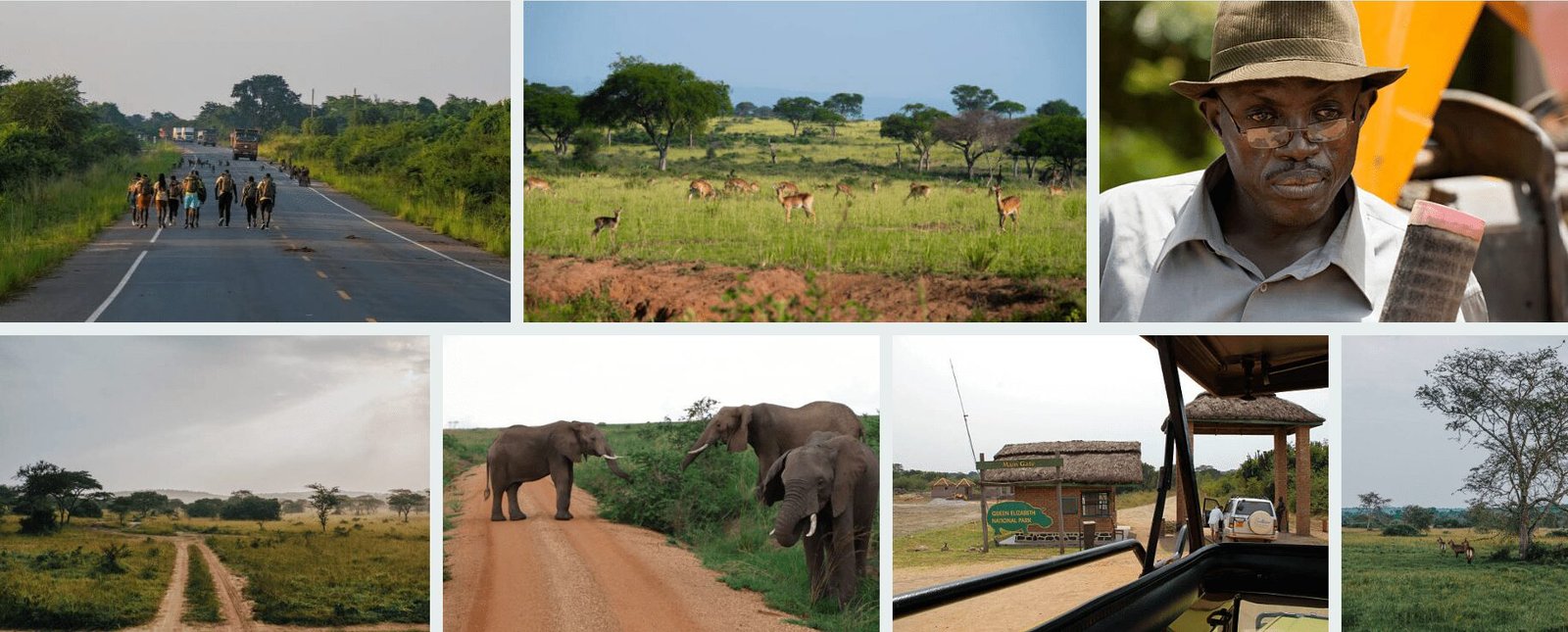 Although safari destinations are generally welcoming and safe, travelers should still practice normal personal security habits. Keeping valuable items secure, following advice from guides, respecting local regulations, and