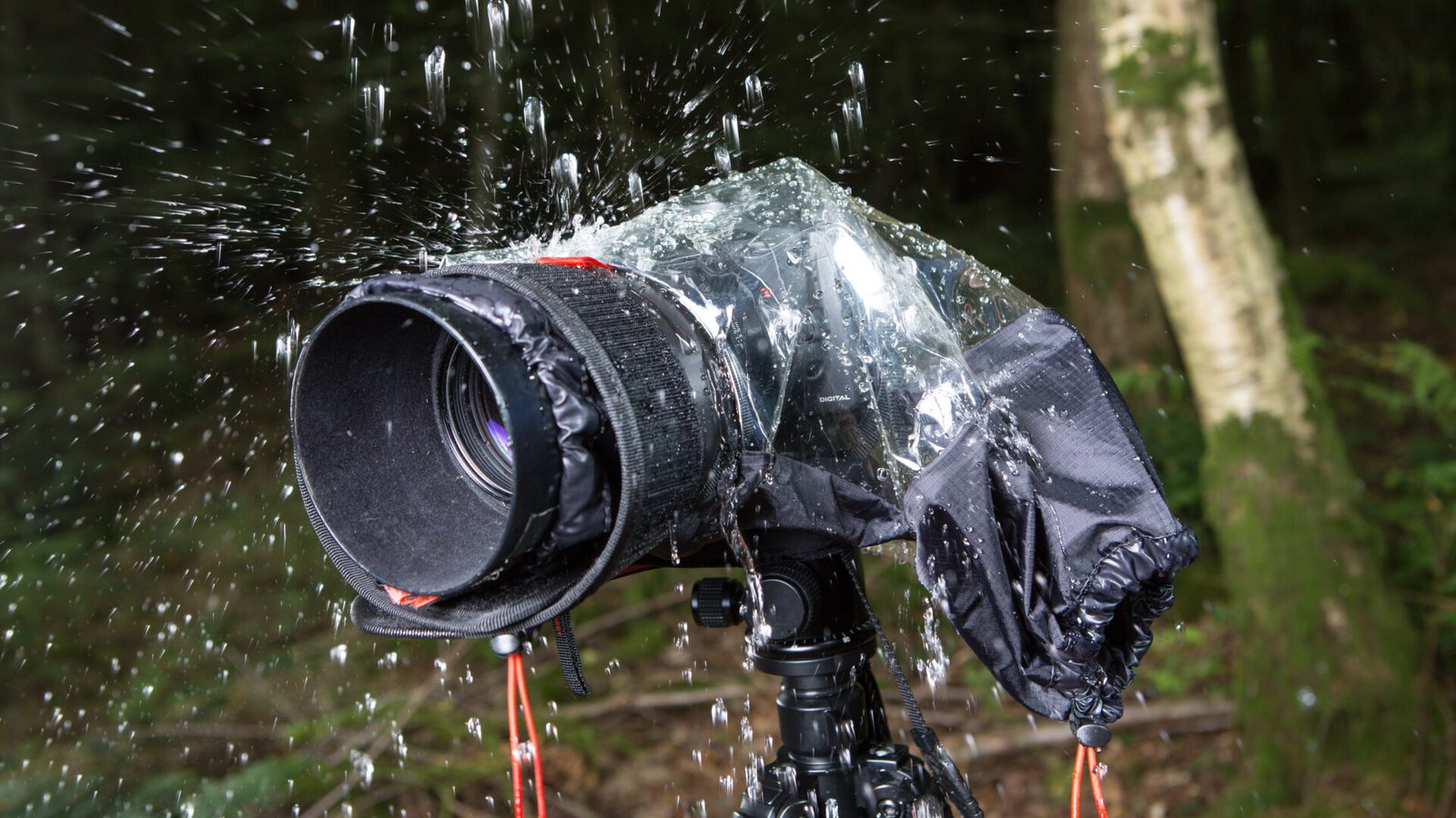A waterproof camera bag or rain cover should always be included in your trekking gear. Even during dry seasons, unexpected rain showers can occur
