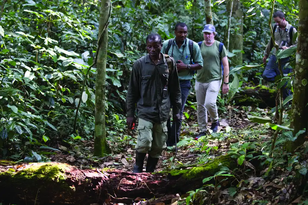 Sustainable Safari Tourism and Wildlife Conservation Commitment