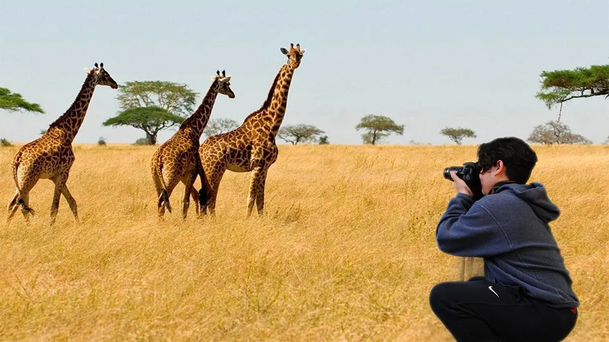 Safety While Visiting Africa on Safari
