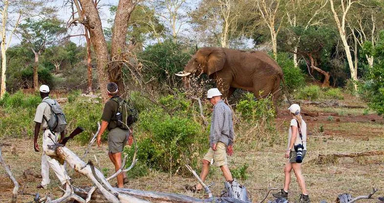 African Safari Safety Tips for Travelers