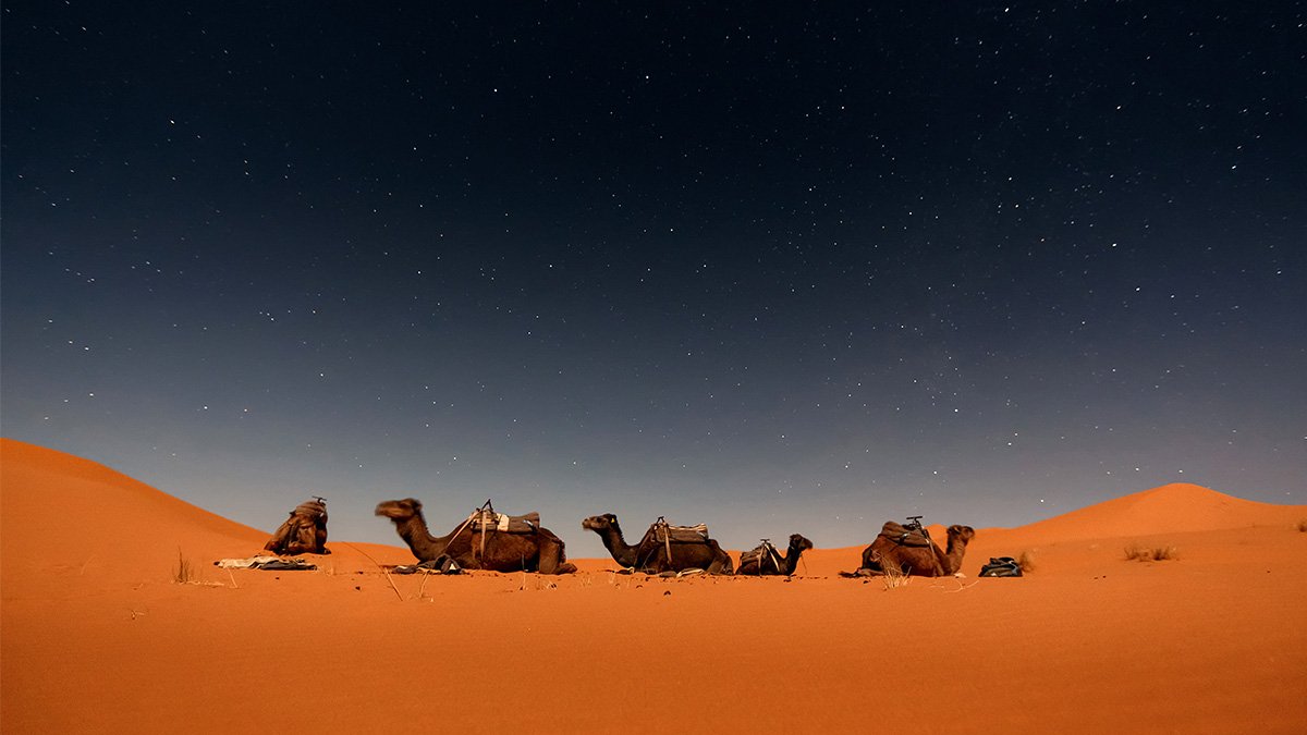 The Sahara Desert is one of Morocco’s most iconic attractions, offering travelers a once-in-a-lifetime adventure through vast golden sand dunes and remote desert landscapes. 
