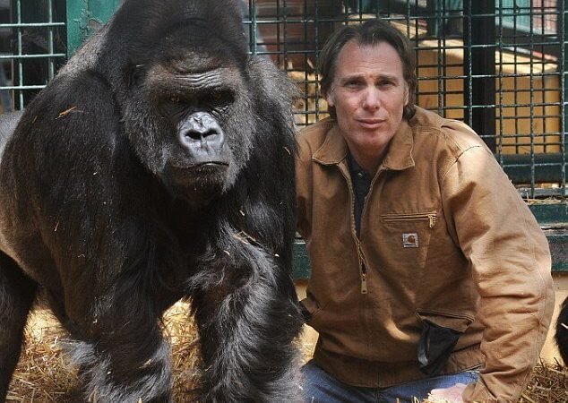 Gorilla and Human Body Structure Similarities in Wildlife Research