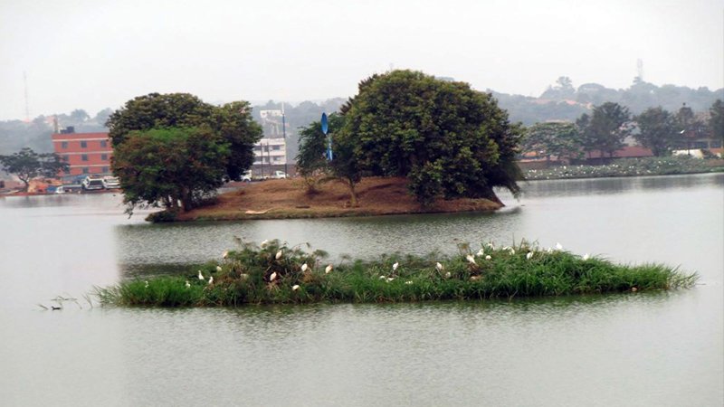 Visit The Kabaka's Lake During Kampala City Tours