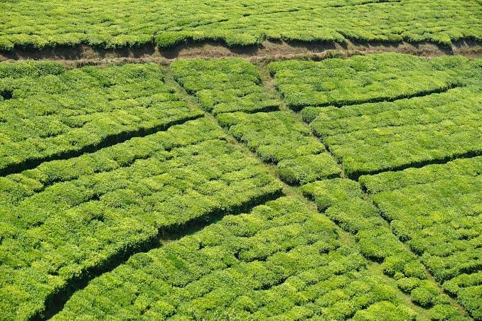 Things to Do in Burundi 10 Must Do Activities in Bujumbura