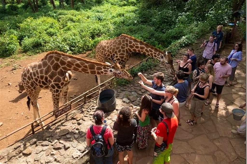 Kenya Tourist Attractions and Must Do Activities