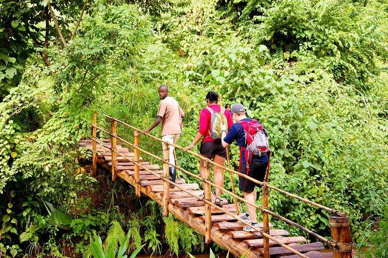 Things to Do After Gorilla Trekking Safari