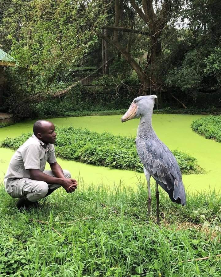 Explore Entebbe Uganda Attractions and Activities