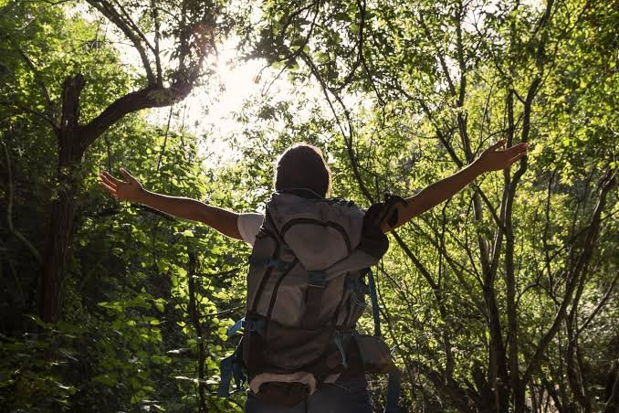 Traveling Solo in Uganda Safari Adventure