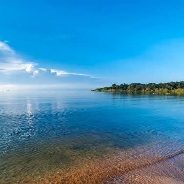 Explore Uganda’s Natural Beauty and Wildlife